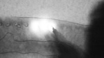 Project_thumbnail_3ef22406-e781-406b-a5dd-ba40fd67a97c