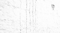 Project_thumbnail_34b011a4-5ebd-4c25-8bcb-e2967e02fbc0