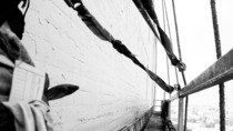 Project_thumbnail_a743c212-749a-4dd6-9090-ed43ea62dc7b