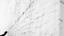 Project_thumbnail_ad5357d8-e453-475b-957f-42455ac64f4f